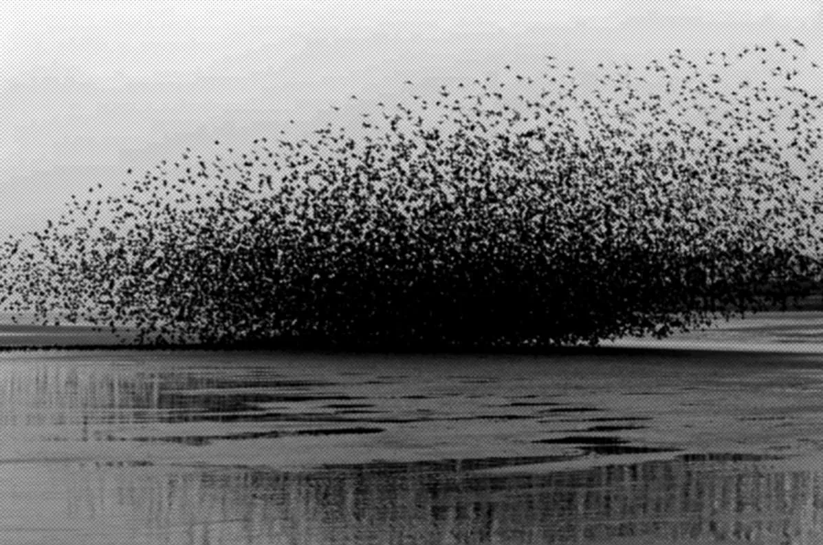 Por que problemas complexos pedem método, não pressa